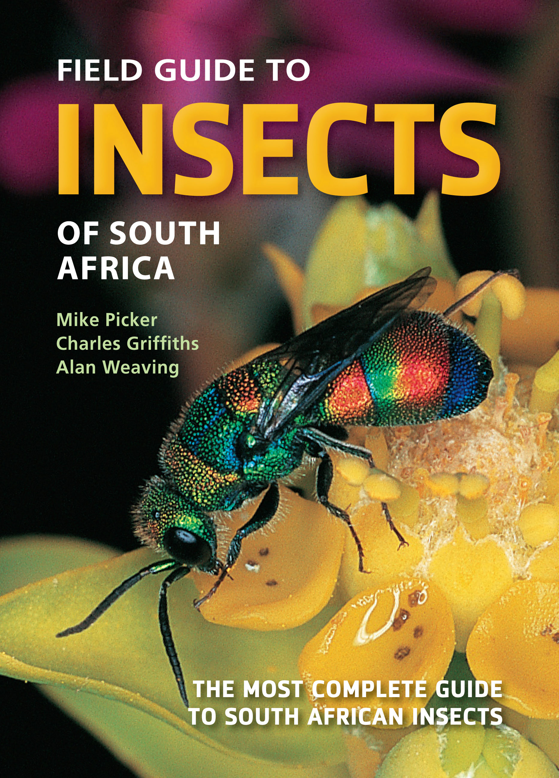 Field Guide to Insects of South Africa Penguin Random House South Africa